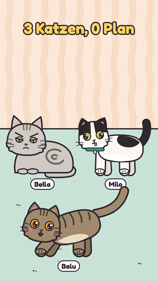 Balu, Bella und Milo aus der Serie 3 Katzen, 0 Plan